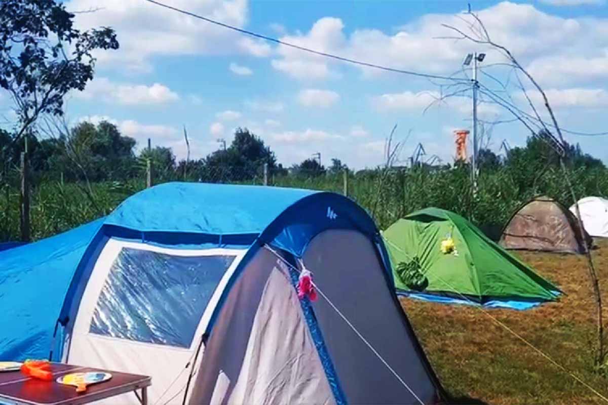 Delta Dunării: Camping | Tururi cu bicicleta | În curând din nou